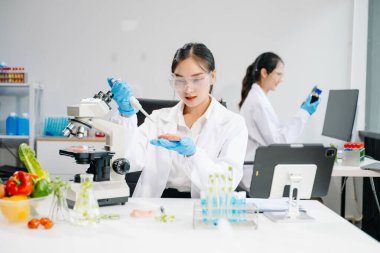 Laboratuvar bilimcileri olarak gıda bilimi, gelişmiş teknoloji ve hassas ekipmanlar kullanarak sebzeleri güvenlik ve kalite için test edip analiz ediyor..