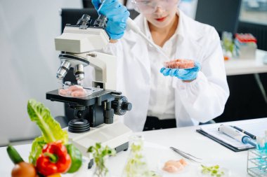 Laboratuvar önlüklü kadın gıda bilimcisi, numuneleri test ediyor ve modern bir laboratuvar ortamında gıda güvenliği ve kalitesini analiz ediyor..