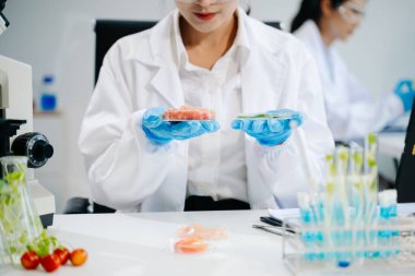 Laboratuvar bilimcileri olarak gıda bilimi, gelişmiş teknoloji ve hassas ekipmanlar kullanarak sebzeleri güvenlik ve kalite için test edip analiz ediyor..