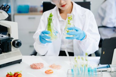 Laboratuvar önlüklü kadın gıda bilimcisi, numuneleri test ediyor ve modern bir laboratuvar ortamında gıda güvenliği ve kalitesini analiz ediyor..