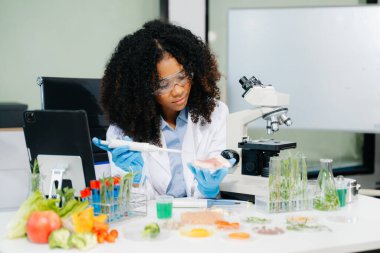 Laboratuvar bilimcileri olarak gıda bilimi, gelişmiş teknoloji ve hassas ekipmanlar kullanarak sebzeleri güvenlik ve kalite için test edip analiz ediyor. la içinde