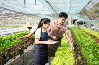 Asian couple of farmers inspects plants with a digital tablet In a greenhouse plantation. Smart farming