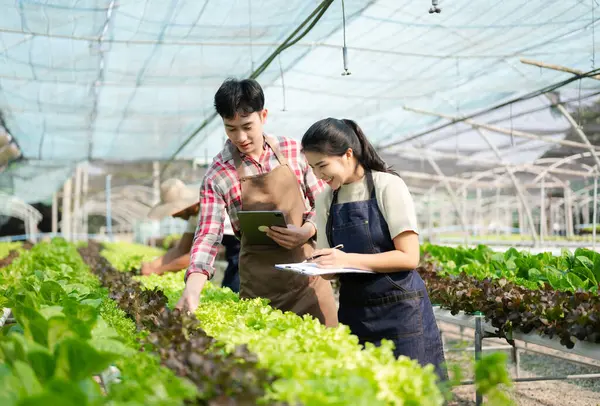 Asian couple of farmers inspects plants with a digital tablet In a greenhouse plantation. Smart farming