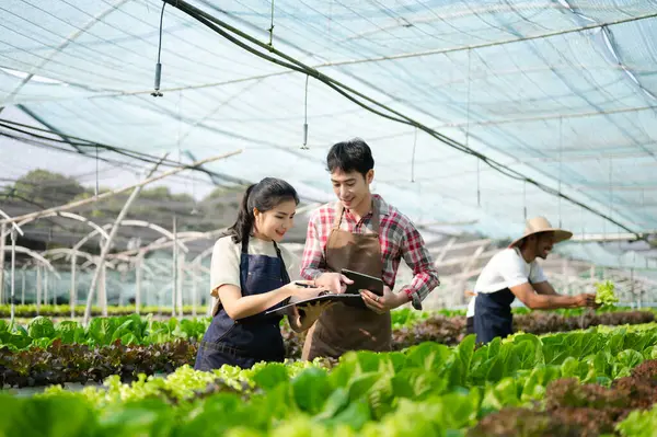 Asian couple of farmers inspects plants with a digital tablet In a greenhouse plantation. Smart farming