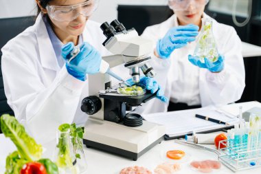 Asyalı kadın bilim adamları mikroskop kullanarak modern laboratuvarda kimya araştırması yapıyorlar.