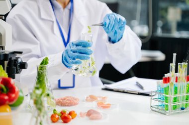 Laboratuvar bilimcisi olarak Gıda Bilimi 'nin orta bölümü ileri teknoloji ve hassas ekipman kullanarak sebzeleri güvenlik ve kalite için test edip analiz ediyor.. 