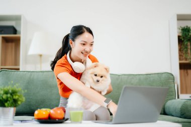 Parlak modern oturma odasında köpeğiyle koltukta dinlenen bir kadın dizüstü bilgisayar kullanıyor. 