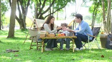 Mutlu genç Asyalı aile piknikte eğleniyor.