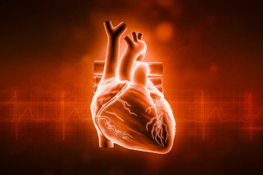 Human heart 3D rendering illustration with copy space and red background. Cardiovascular system, anatomy, medical and healthcare, biology, medicine, science concepts.