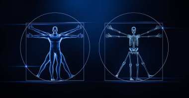 İnsan vücudunun ön ya da ön görüntüsü ve iskelet x-ray 3D görüntüleme mavi arka planda. Tıbbi, iskelet sistem anatomisi, biyoloji, osteoloji, bilim, kavramlar.