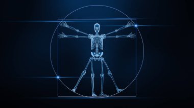 Mavi arka planda insan iskeletinin ön ya da ön görüntüsü 3 boyutlu röntgen. Kemik anatomisi, tıbbi, iskelet sistemi, biyoloji, tıp, osteoloji, biyomekanik kavramlar.