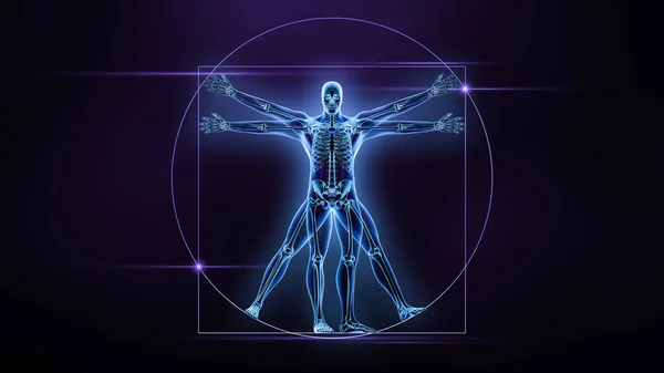İnsan vücudunun ön ya da ön görünüşü ve kemikleri 3 boyutlu çizim yapıyor. İskelet ya da iskelet sistem anatomisi, tıbbi, bilim, biyoloji, tıp, osteoloji, biyomekanik kavramlar.