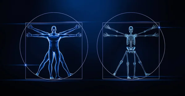 前视或前视的人的身体和骨骼的X射线三维渲染蓝色背景的说明 骨骼系统解剖学 生物学 — 图库照片
