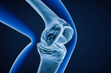 Diz eklemi kemiklerinin yakın görüntüsü 3 boyutlu görüntüleme. İnsan iskelet anatomisi, osteoloji, bilim, biyoloji, tıbbi ve sağlık konsepti.
