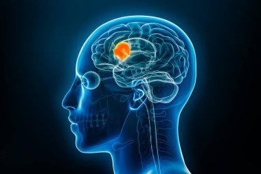 Broca 'nın X-ray 3D alanı mavi arkaplandaki çizimleri gösteriyor. İnsan vücudu, beyin veya beyin anatomisi, tıbbi, biyoloji, bilim, nörobilim, nöroloji kavramları.