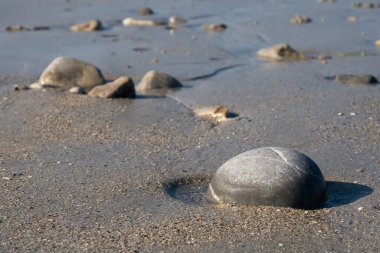 Yumuşak kayalar, gelgitte kısmen ıslak kumda gömülüdür. Plajda doğal doku. Yumuşak ışık var ve insan yok..
