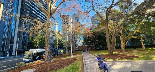 Promenade Pierreuse Vide Avec Arbres Verdure Bordure Sydney Hyde Park — Photo