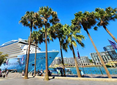 Sydney Harbour, Avustralya - 9 Kasım 2022: Büyük yolcu gemisi 