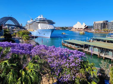 Sydney Harbour, Avustralya - 9 Kasım 2022: Sydney Harbour 'un lüks yolcu gemisi 