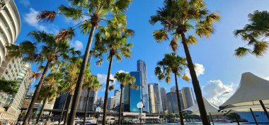 Sydney Harbour, Avustralya - 5 Nisan 2023: Urban Green Space ile Modern Skyline. Parlak mavi gökyüzü altında çağdaş gökdelenleri barındıran hareketli bir şehir manzarası.