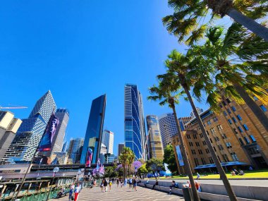 Sydney, Avustralya - 9 Kasım 2022: Lush Green Spaces ile canlı Urban Skyline. Modern gökdelenleri olan dinamik bir şehir manzarası çeşitli mimari tarzlar sergiliyor..