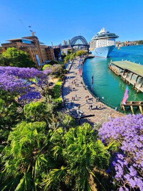 Sydney, Avustralya - 9 Kasım 2022: Modern Gökdelenler ve Yeşil Boşluklu Canlı Şehir. Sydney Opera Binası 'nda mor çiçek açan Jacaranda ağaçları.