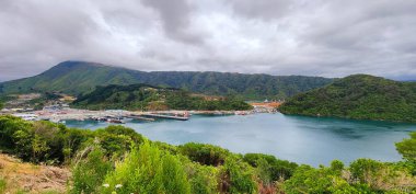 Güney Adası, Yeni Zelanda - 23 Ocak 2025: Blenheim Limanı: Tekneler, Yansımalar ve Misty Hills. Blenheims limanının özü, tekne ve gemilerin rıhtımda huzur içinde dinlendiği yer..