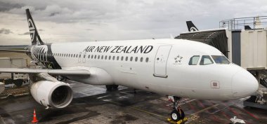 Auckland İç Havalimanı, Yeni Zelanda: 20 Ocak 2025: Air New Zealand Airplane at Airport Gate. Uçak siyah aksanlı beyaza boyanmış, havayolunun markası ve logosu var..