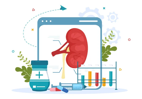 stock vector Nephrologist Illustration with Cardiologist, Proctologist and Treat Kidneys Organ in Flat Cartoon Hand Drawn for Web Banner or Landing Page Templates