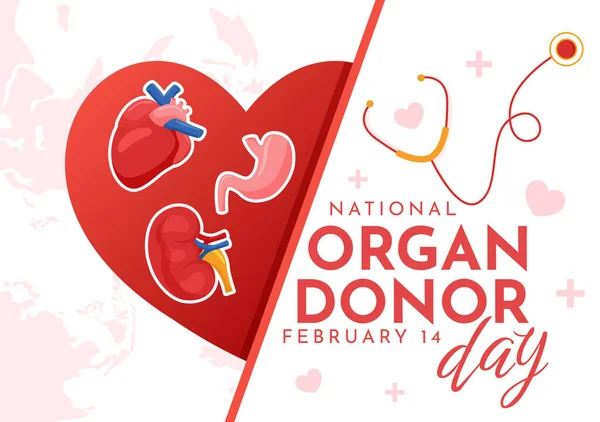 stock vector National Organ Donor Day Vector Illustration on 14 February with Kidneys, Heart, Lungs or Liver for Transplantation and Healthcare in Flat Background