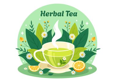 Yeşil Papatya Yapraklı Bitkisel Çay Vektörü İllüstrasyonu ve Yassı Çizgi Film Arkaplanındaki Dayanıklılığı Artırmak İçin Çiçek Karışımı
