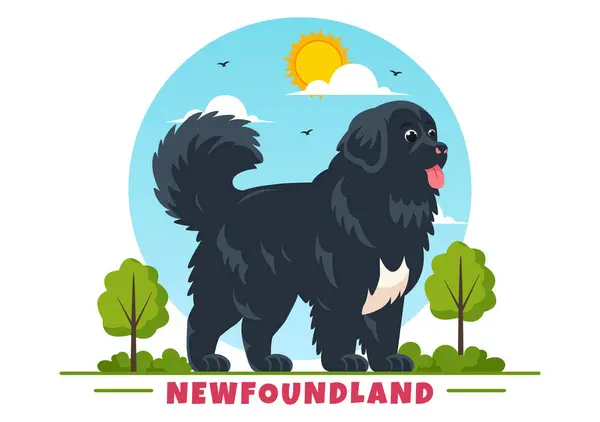 Newfoundland Dog Animals Vector Illustration Black Brown Landseer Color Flat Stok Ilustrasi 
