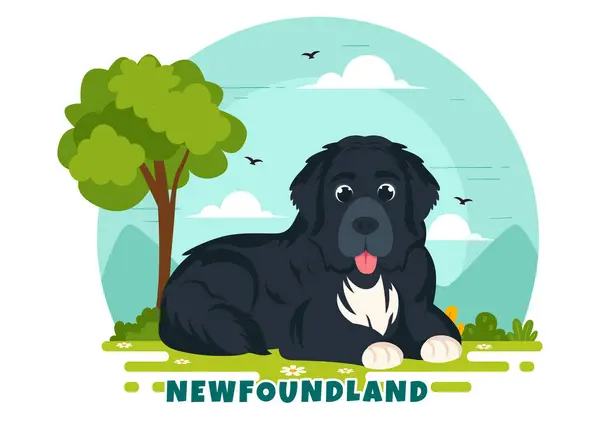 Newfoundland Dog Animals Vector Illustration Black Brown Landseer Color Flat Grafik Vektor