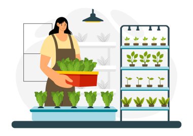 Hidroponik Teknoloji Vektör İllüstrasyonu Bir Arkaplanda Yeşil Santralleri Kontrol Altındaki Koşullarda Yeşillendirmek İçin Bir Sera Ortamı