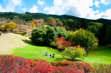 Mount Lofty Botanic Garden - South Australia