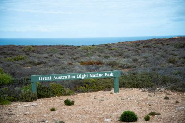 Büyük Avustralya Açık Deniz Parkı