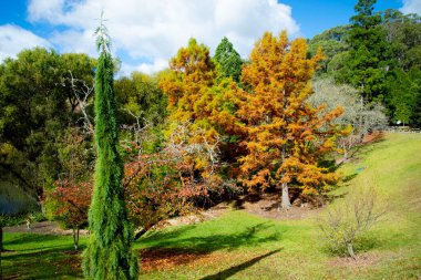 Mount Lofty Botanic Garden - South Australia
