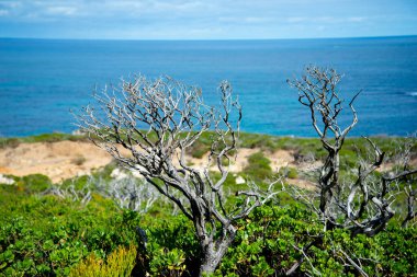 D 'Entrecasteaux Ulusal Parkı - Batı Avustralya