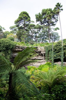 Umpherston obruğu - Gambier Dağı - Avustralya