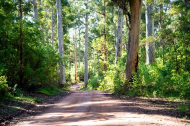 Eski Vasse Yolu - Batı Avustralya