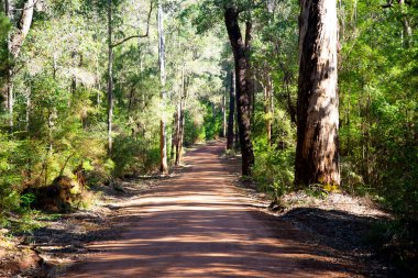 Eski Vasse Yolu - Batı Avustralya