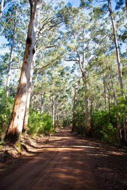 Eski Vasse Yolu - Batı Avustralya