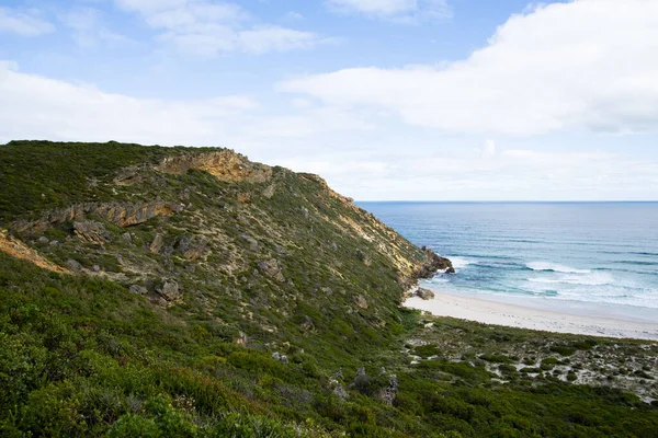 デンドレカストー国立公園のサーモンビーチ オーストラリア — ストック写真