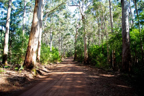 Oude Vasse Road West Australië — Stockfoto