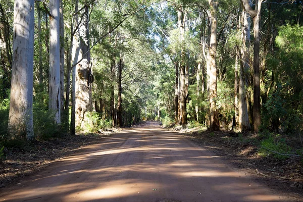 Eski Vasse Yolu - Batı Avustralya