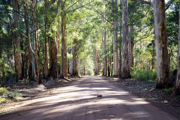 Old Vasse Road Δυτική Αυστραλία — Φωτογραφία Αρχείου