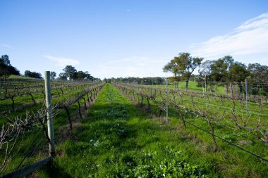 Ferguson Vadisi - Batı Avustralya