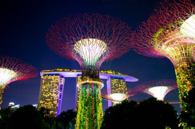 Singapur Şehri, Singapur - 12 Nisan 2019: Körfez tarafındaki Gardens 'ta Supertree Grove ışık gösterisi