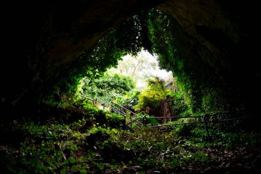 Engelbrecht Cave - South Australia