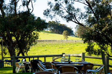 Ferguson Vadisi 'ndeki üzüm bağı Batı Avustralya